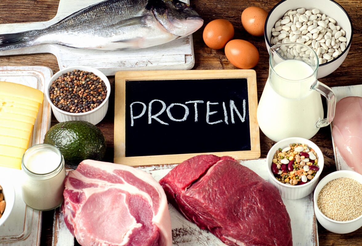 thực phẩm hỗ trợ giảm cân protein thực vật, động vật